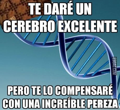 Te daré un cerebro excelente, pero...