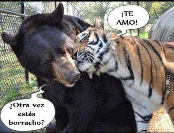 Tigre, aflojale a la bebida!