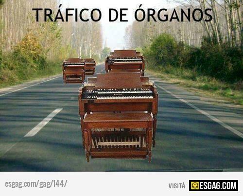 Tráfico de organos