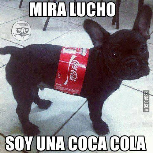 El perro Coca Cola