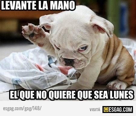 Levante la mano el que no quiera que sea lunes