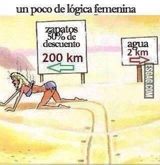 Lógica femenina