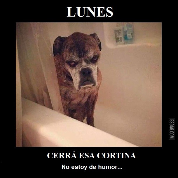 Lunes