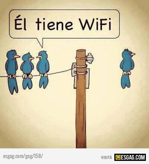 Pajarito con WIFI