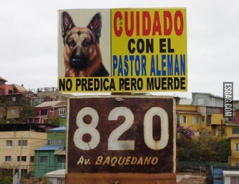 Cuidado! Pastor alemán