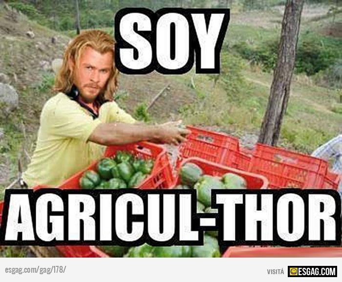 SOY AGRICUL THOR