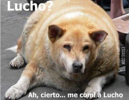 Lucho????