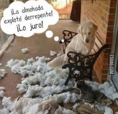 Explosión de almohadas