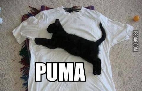 Puma en 3D