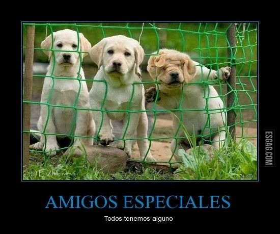 Quién no tiene un amigo as� Etiquetalo!
