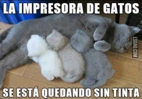 Impresora de gatos