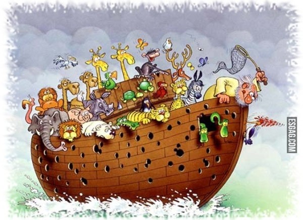 El error en el arca de Noé