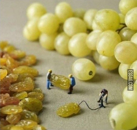 Así se hacen las uvas