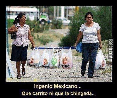 El ingenio mexicano