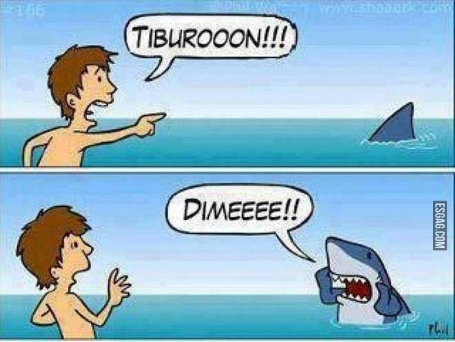 Tiburón!