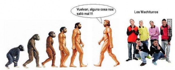 La teoría de la evolución salió mal