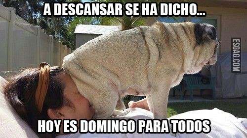 Domingo!