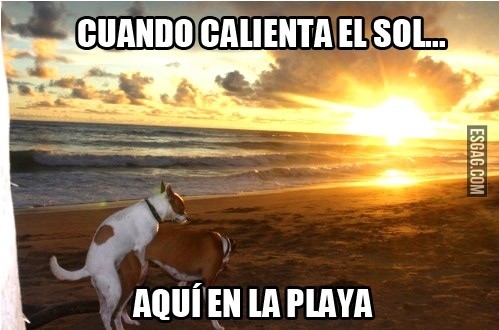 Cuando calienta el sol...