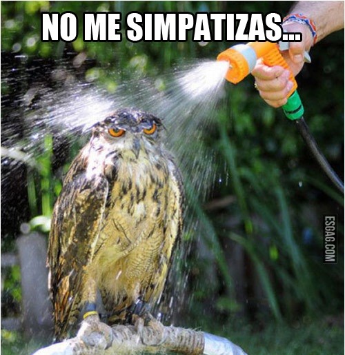 No me simpatizas!