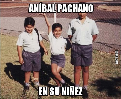 Mini Pachano