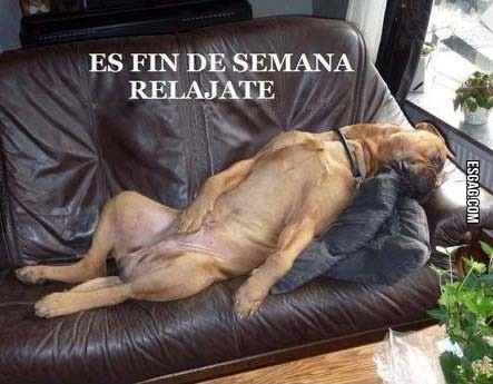 Relajate, todavía no empieza la semana