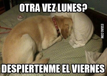 Otra vez lunes!!!