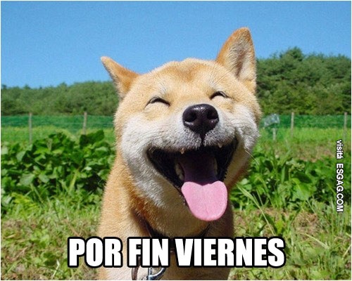 Llegó el tan querido y esperado viernes!