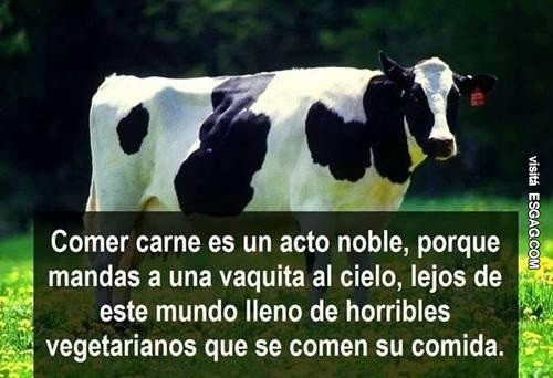 Argumentos para rebatir a un vegetariano