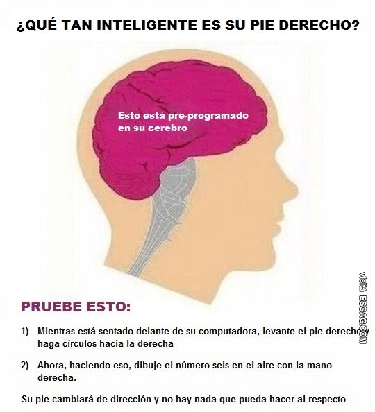 ¿Qué tan inteligente es tu pie derecho?