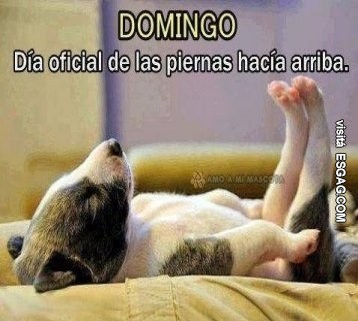 Domingo