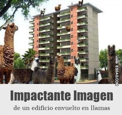 Imágenes impactantes