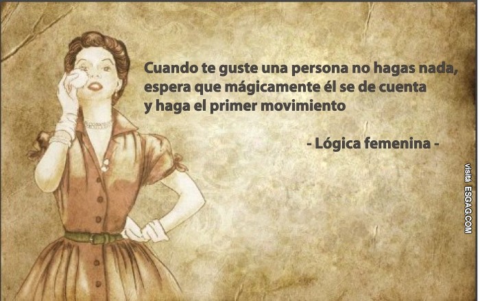 Lógica femenina para principiantes