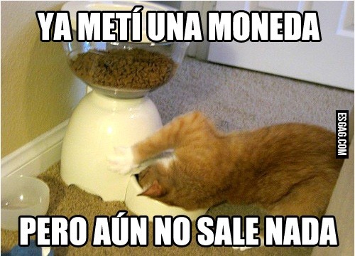 Malas noticias gatito... 