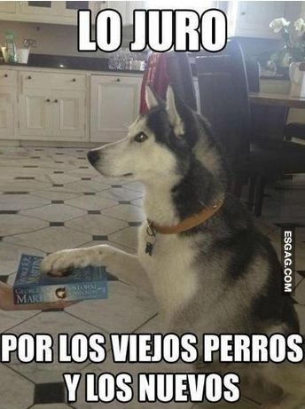 Juramento canino