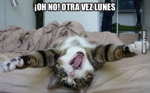 Otra vez lunes...