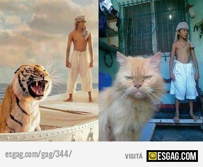 Life of Pi en sus dos versiones