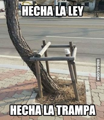 Hecha la ley hecha la trampa