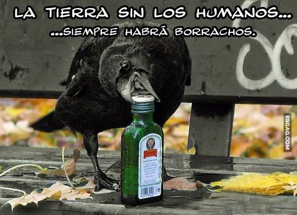 Aunque no haya humanos, habría alcohol 