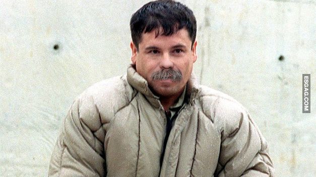 el Chapo Fernandez #LaMorsaesAnibal