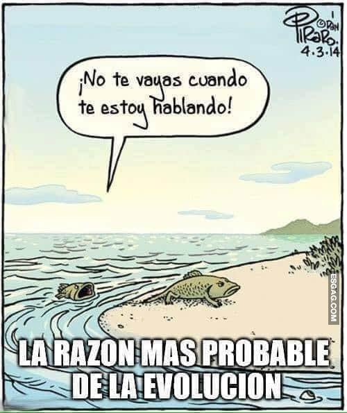 La razón más probable de la evolución