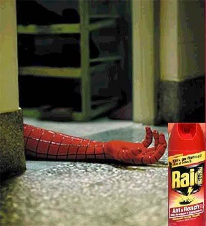 Odio el RAID. Atte. El hombre araña