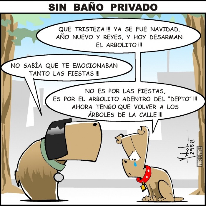 Sin baño privado (chiste grafico)