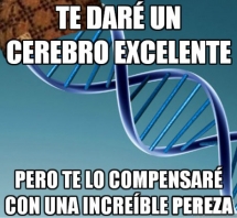 Te daré un cerebro excelente, pero...