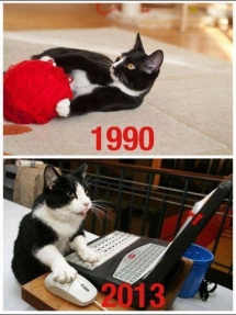 Gatos de antes vs de ahora
