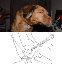 Perro rockero