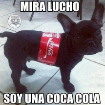 El perro Coca Cola