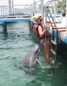 Delfin atrevido
