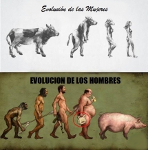 Evolución