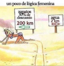 Lógica femenina