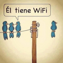 Pajarito con WIFI